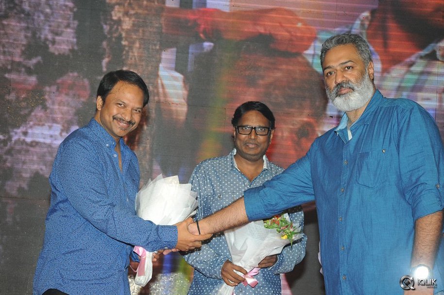 Hora-Hori-Movie-Audio-Launch